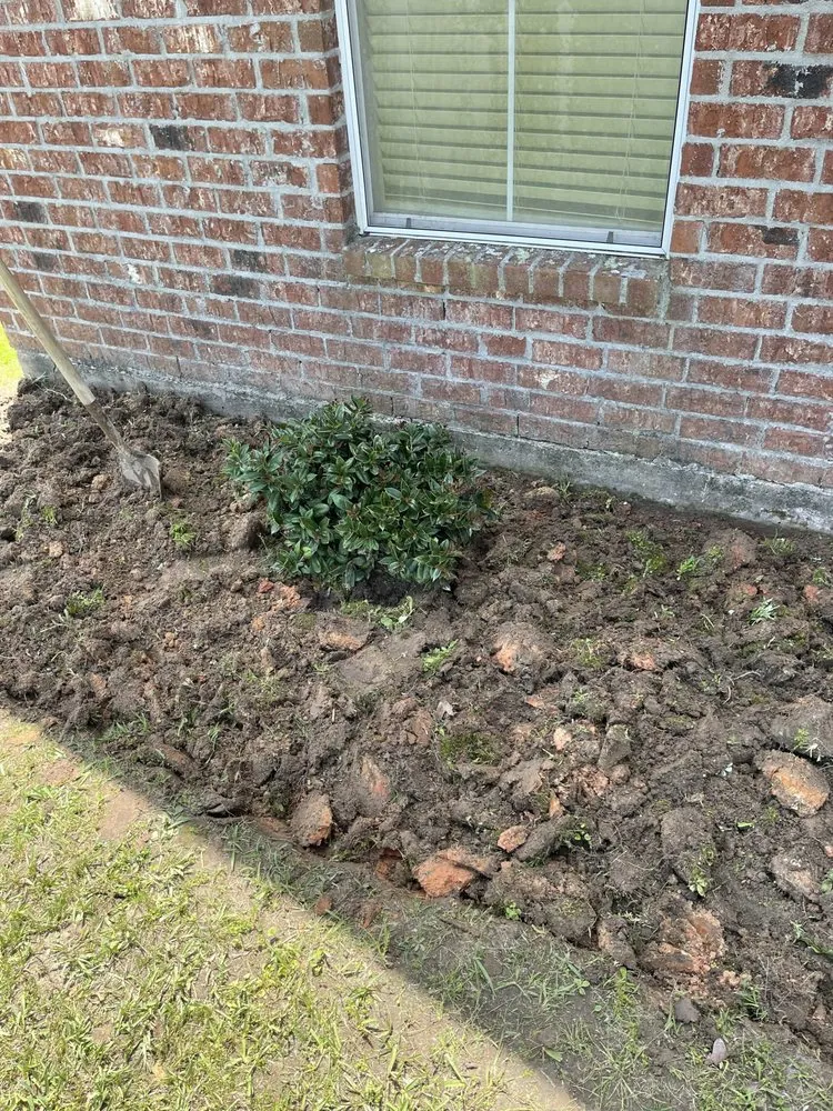 Local yard cleanup service experts serving Independence, LA - Mowtrucking