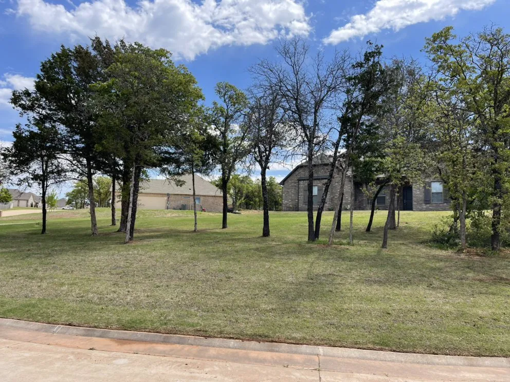 Top-rated yard cleanup service in Moore, OK by Mowzilla