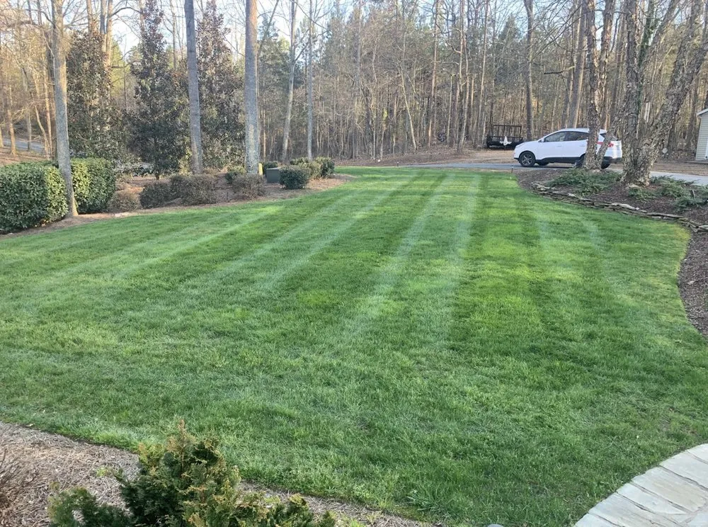Local landscape installation in Charlotte, NC - Moxthe Lawn Service