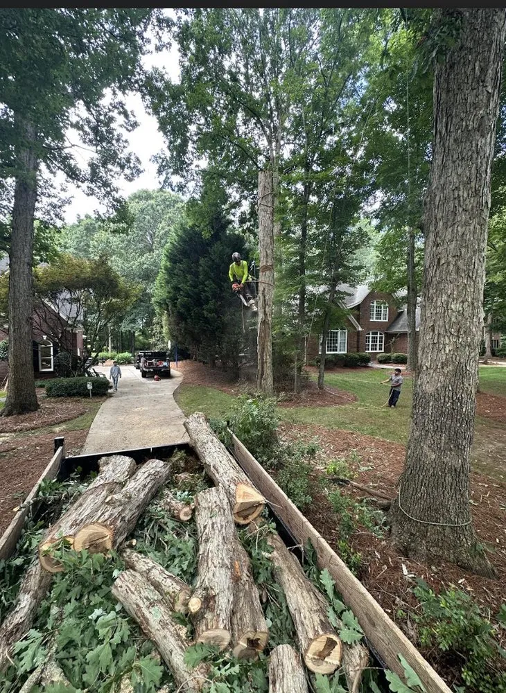 Affordable lawn care service in Charlotte, NC - Moxthe Lawn Service