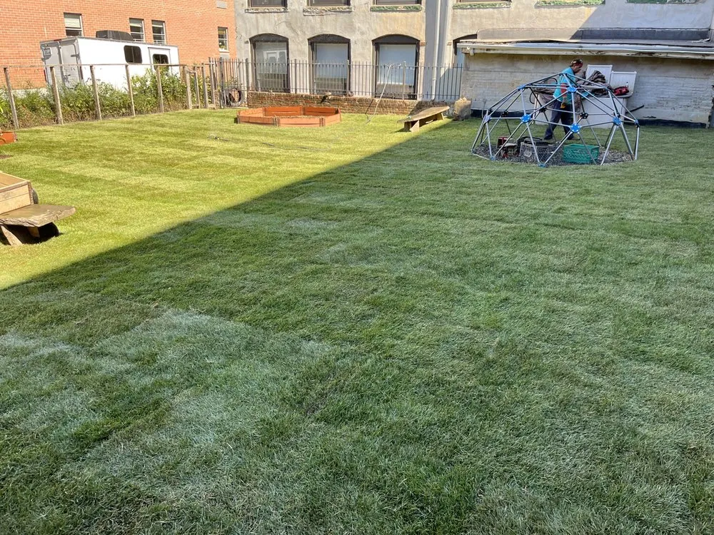 Professional lawn care service in Brooklyn, NY by Moya Landscaping