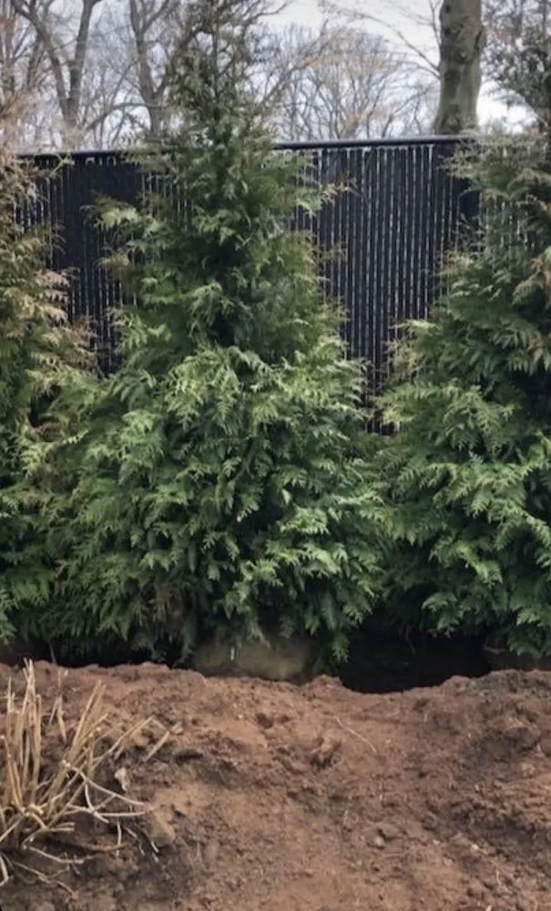 Local landscaping services for residential properties in Brooklyn, NY by Moya Landscaping