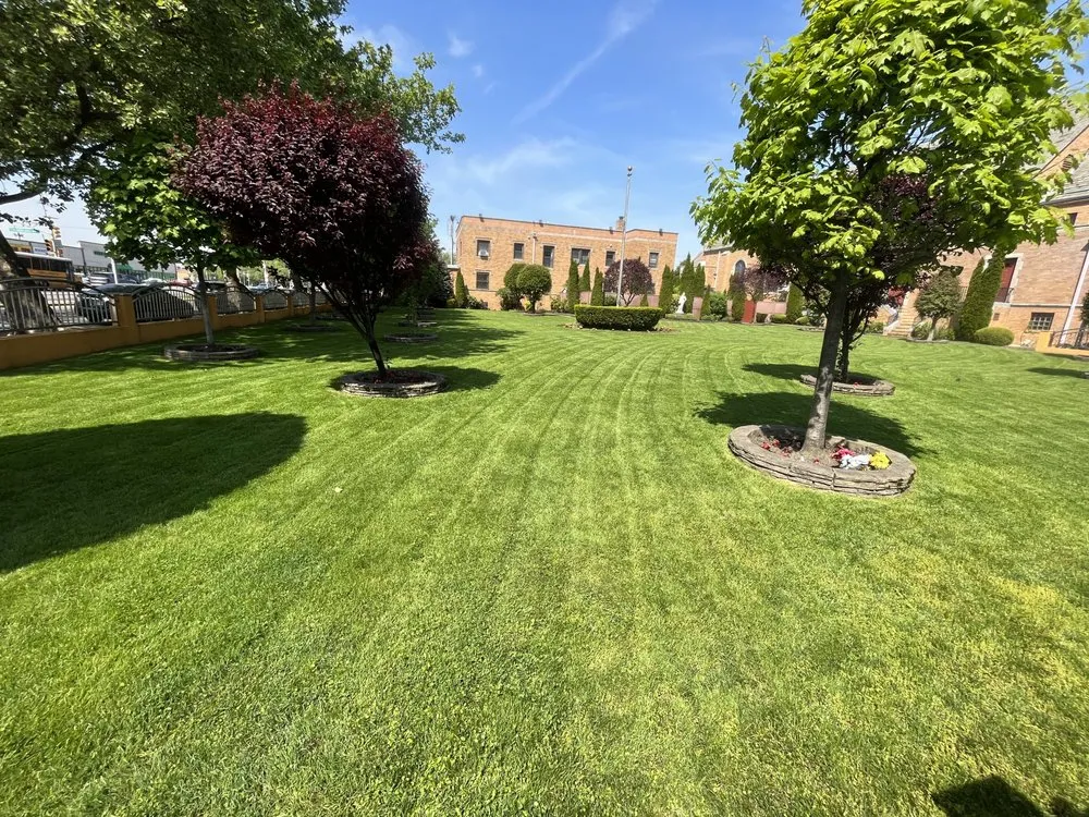 Trusted lawn care service in Brooklyn, NY by Moya Landscaping