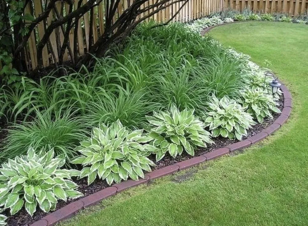 Local residential landscaping for beautiful yards in Brooklyn, NY by Moya Landscaping