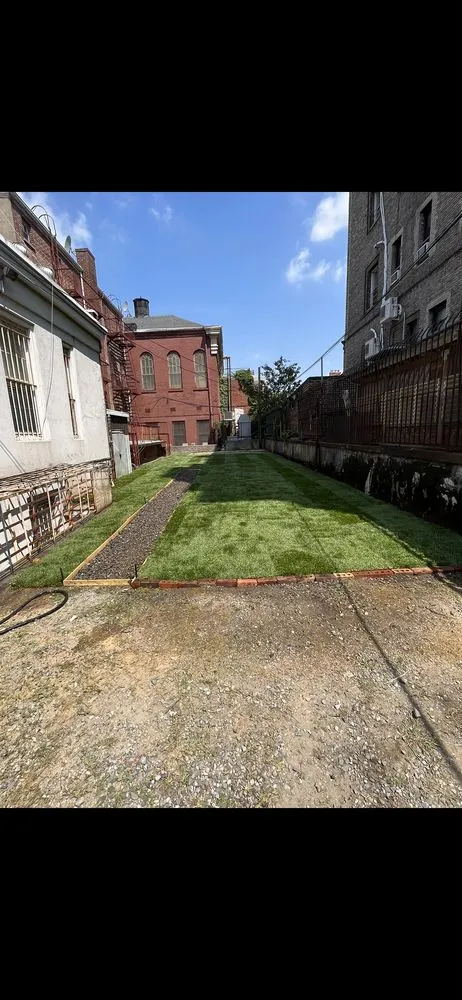 Trusted lawn care service in Brooklyn, NY by Moya Landscaping