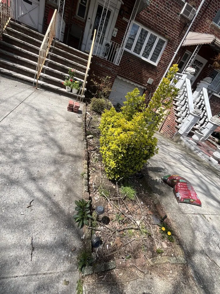 Reliable yard maintenance for beautiful yards across Brooklyn, NY - Moya Landscaping