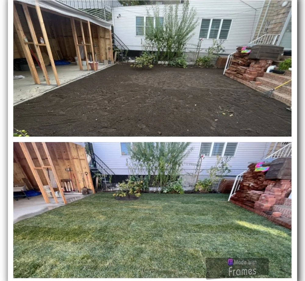 Professional yard cleanup service experts serving Brooklyn, NY - Moya Landscaping