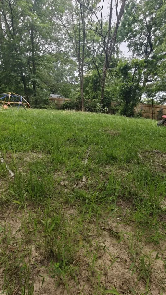 Top-rated landscaping services near you in Texarkana, AR by Moya's Mowin And Haulin