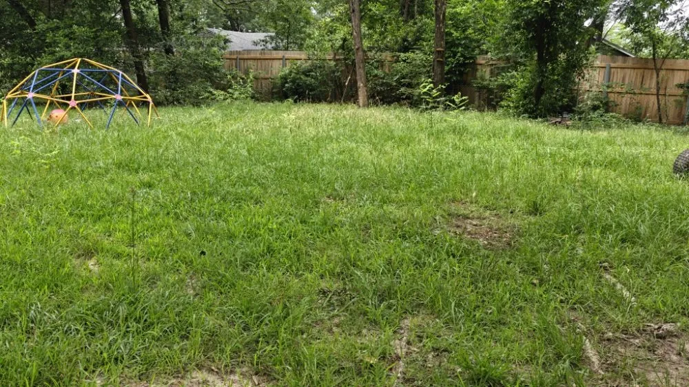 Top-rated yard maintenance in Texarkana, AR - Moya's Mowin And Haulin