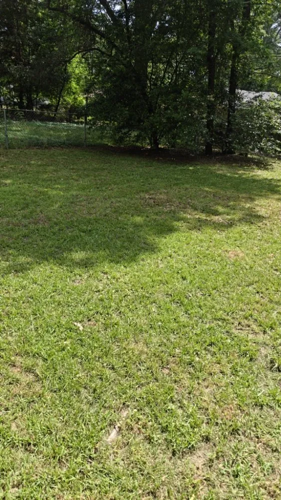 Local lawn mowing service experts serving Texarkana, AR - Moya's Mowin And Haulin