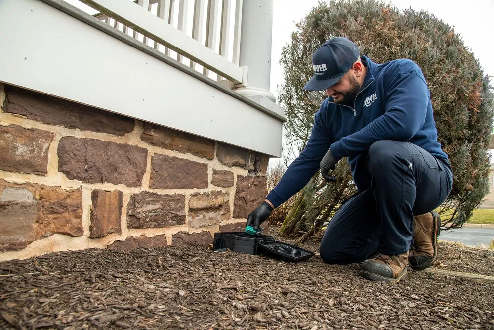 Reliable lawn mowing service for beautiful yards across Horsham, PA - Moyer Indoor Outdoor