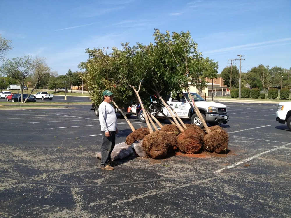 Trusted garden landscaping in Oklahoma City, OK - Moyer Lawncare & Landscaping