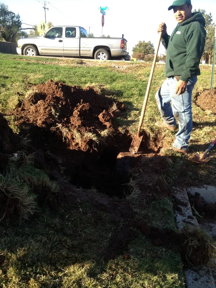 Reliable landscaping services experts serving Oklahoma City, OK - Moyer Lawncare & Landscaping