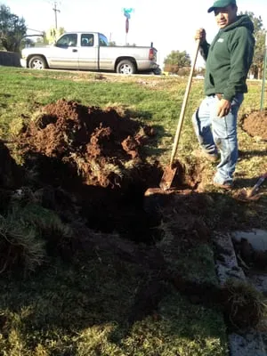 Moyer Lawncare & Landscaping Logo