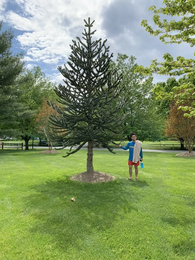 Custom landscape installation for homes in Rockville, MD by Moyers Lawn Service & Landscaping