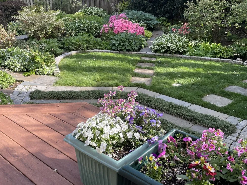 Professional yard cleanup service experts serving Rockville, MD - Moyers Lawn Service & Landscaping