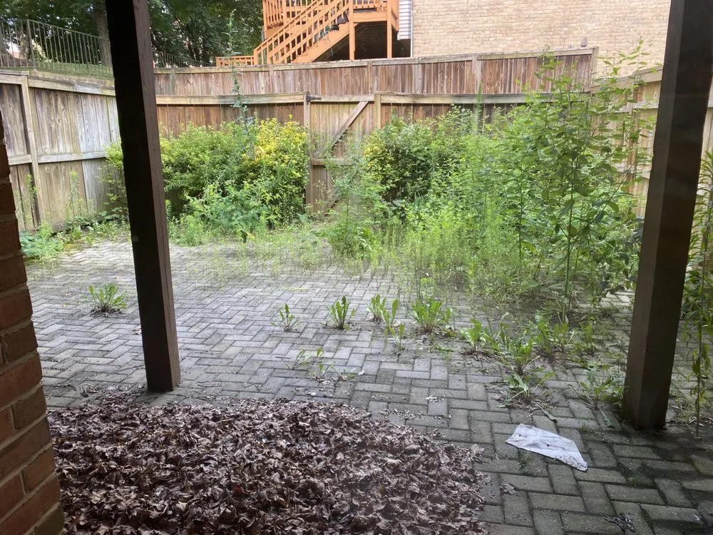 Professional garden landscaping in Rockville, MD by Moyers Lawn Service & Landscaping