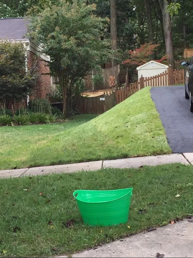 Custom outdoor landscaping in Rockville, MD by Moyers Lawn Service & Landscaping