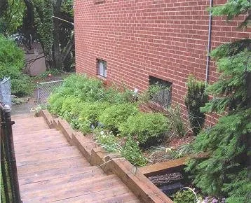 Custom yard cleanup service in Rockville, MD by Moyers Lawn Service & Landscaping