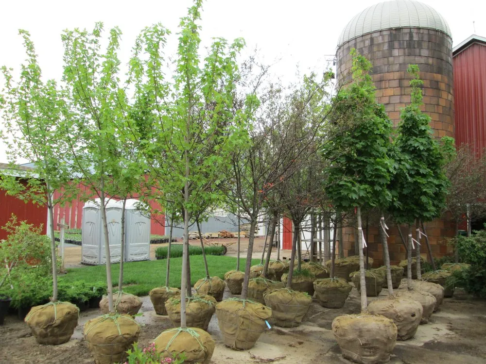 Expert residential landscaping in Stoughton, WI - Moyer's