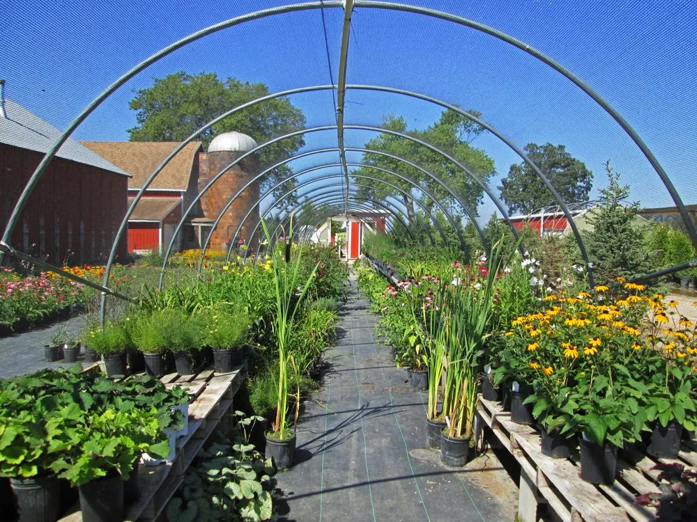 Expert garden landscaping near you across Stoughton, WI - Moyer's