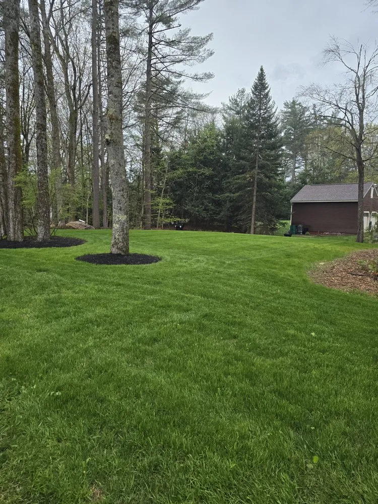 Professional yard cleanup service experts serving Ashburnham, MA - Moynihan Property Services