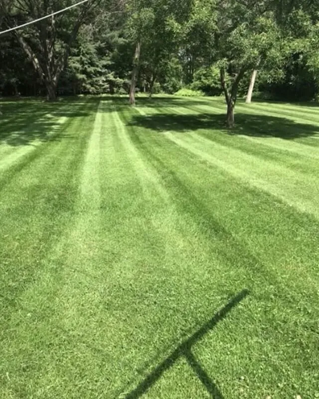 Affordable landscape design for residential properties across Moyock, NC - Moyock Landscaping