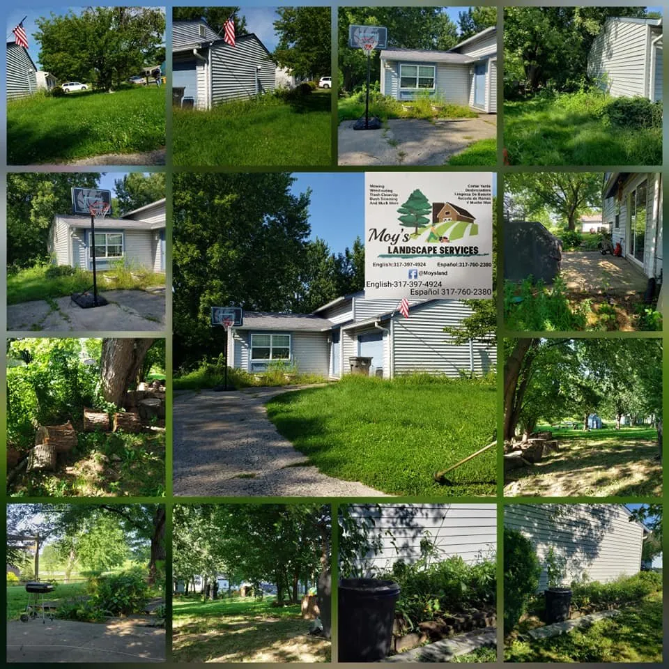 Reliable lawn mowing service in speedway, IN by Moy's Landscape Services