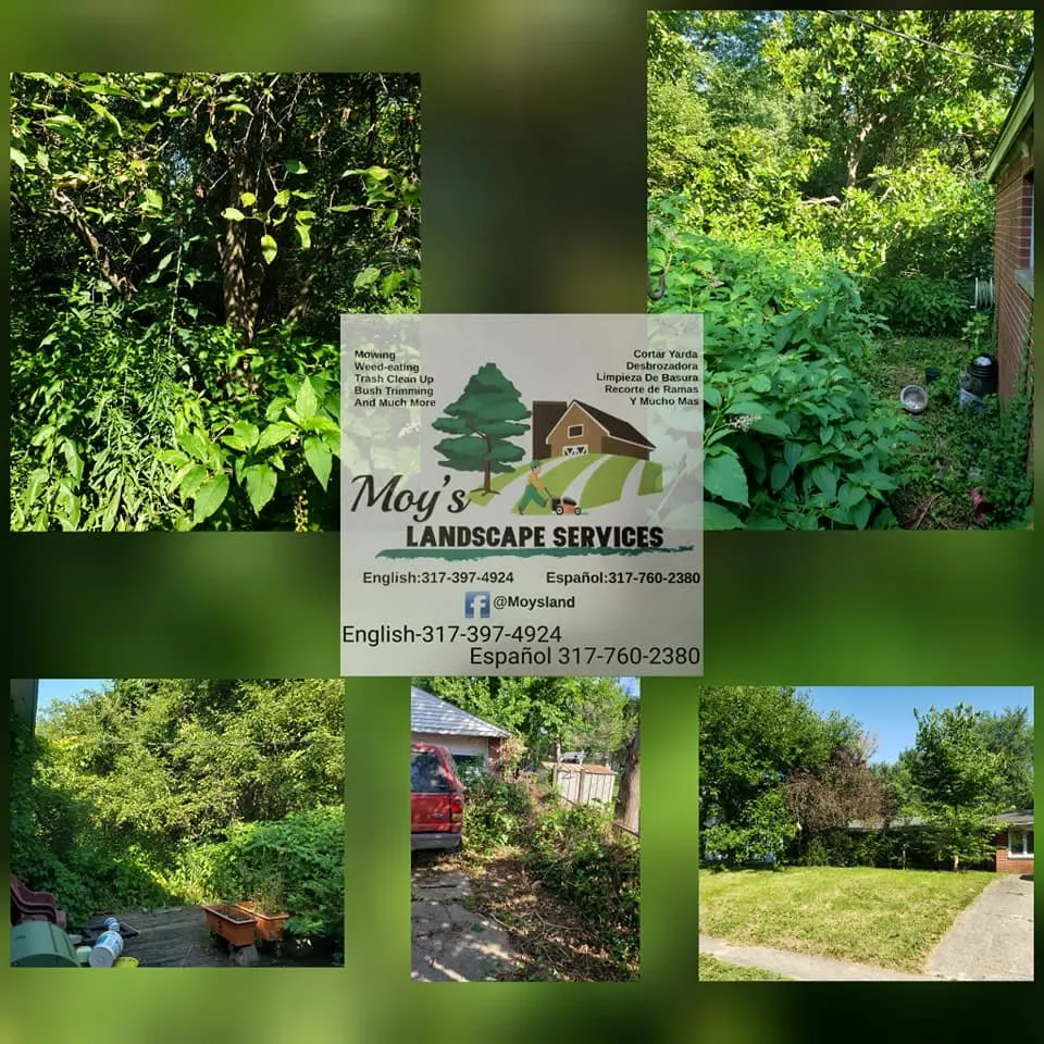 Reliable residential landscaping for homes across speedway, IN - Moy's Landscape Services