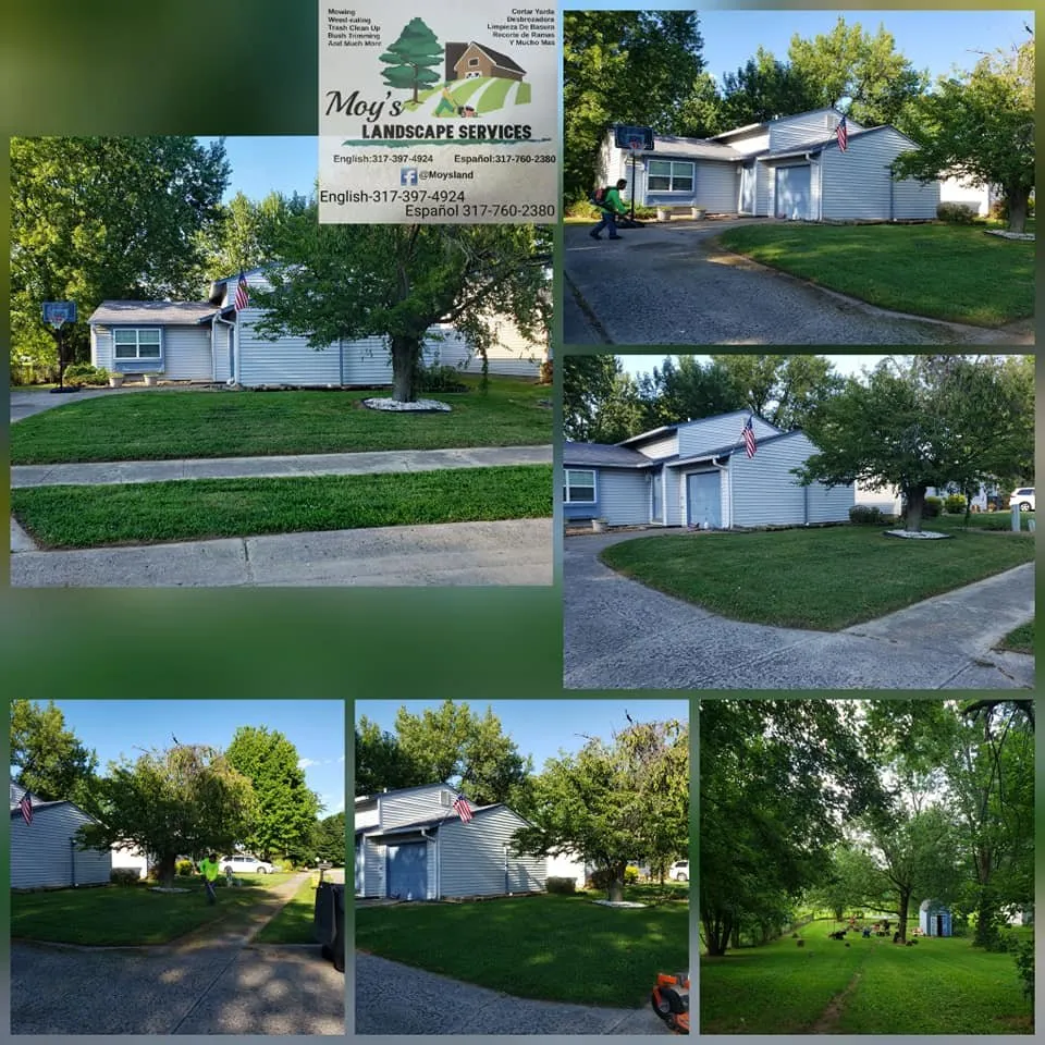 Affordable yard cleanup service in speedway, IN - Moy's Landscape Services