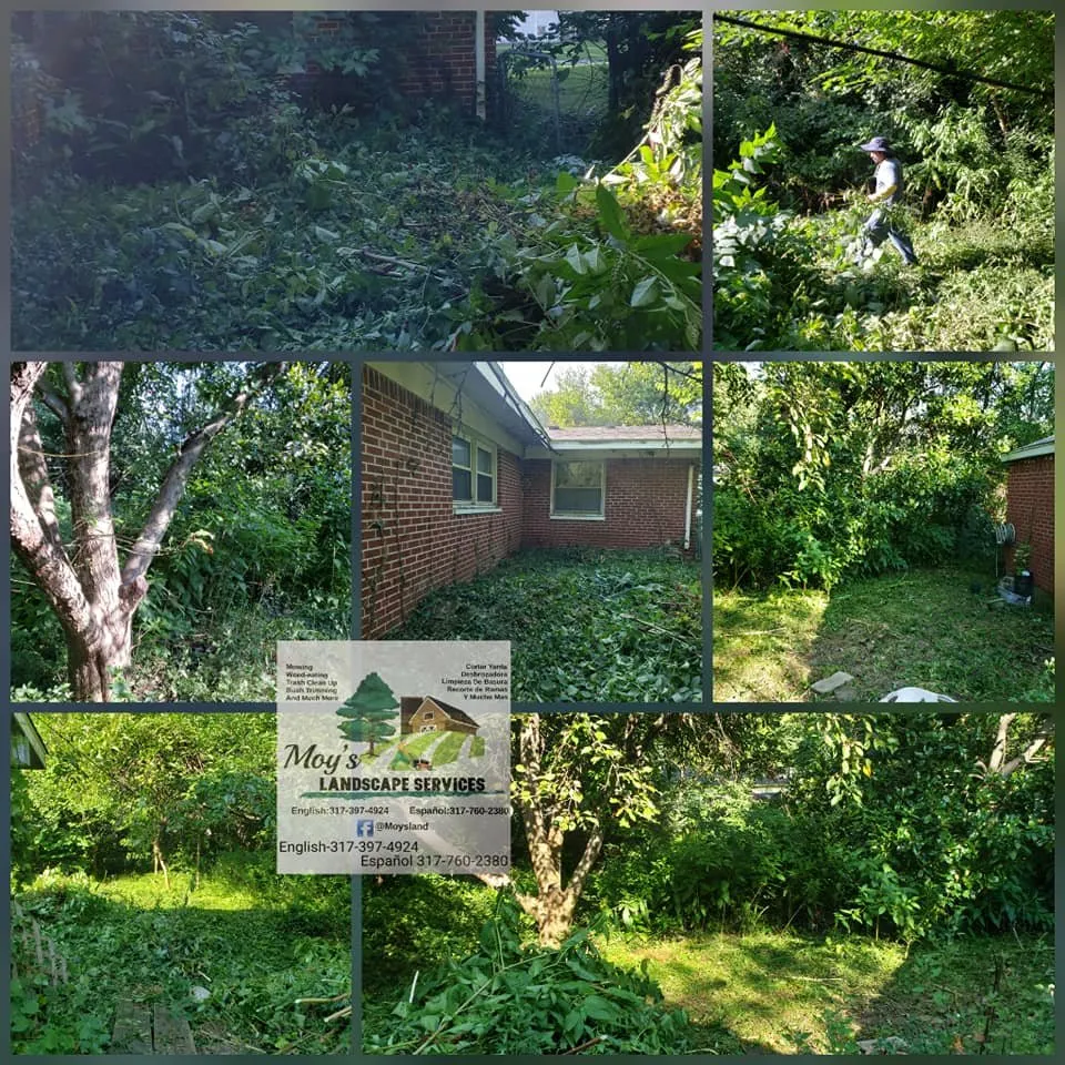 Trusted landscape installation in speedway, IN by Moy's Landscape Services