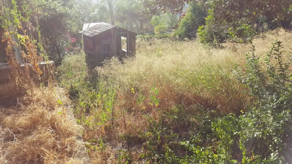 Top-rated outdoor landscaping for homes in El Cajon, CA by Moy's Landscaping