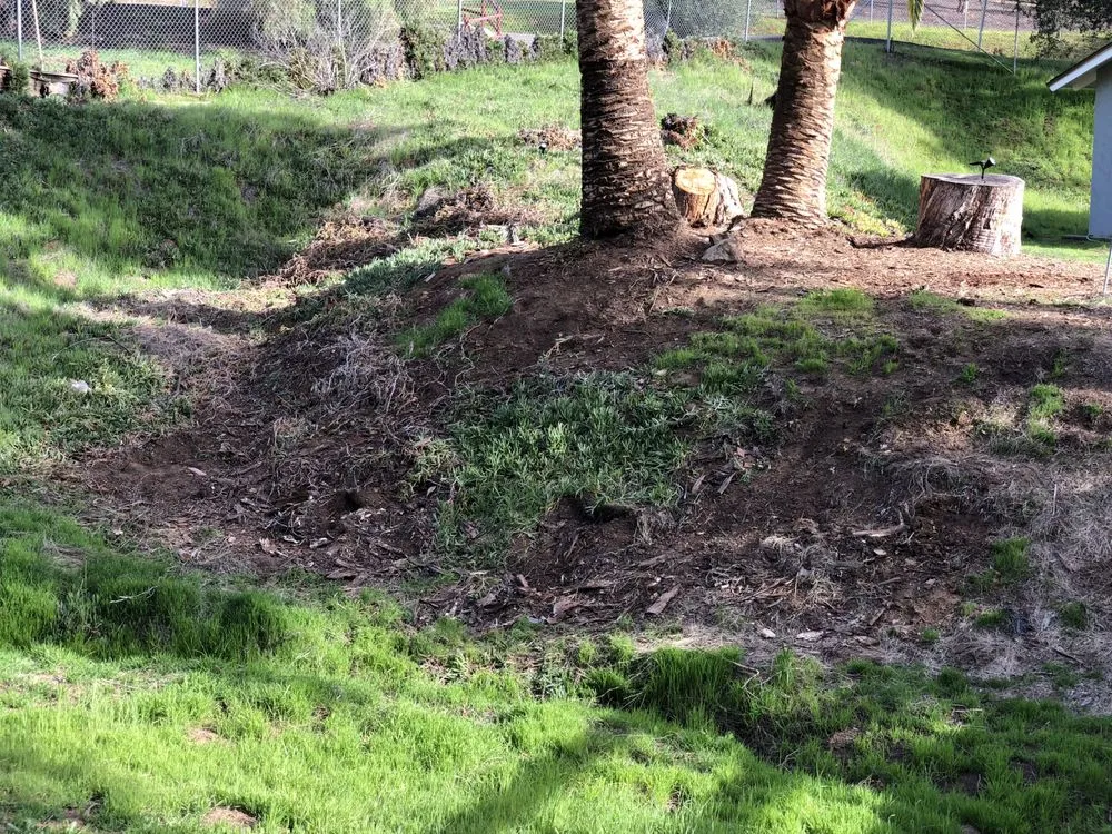 Professional garden landscaping for outdoor upgrades across El Cajon, CA - Moy's Landscaping