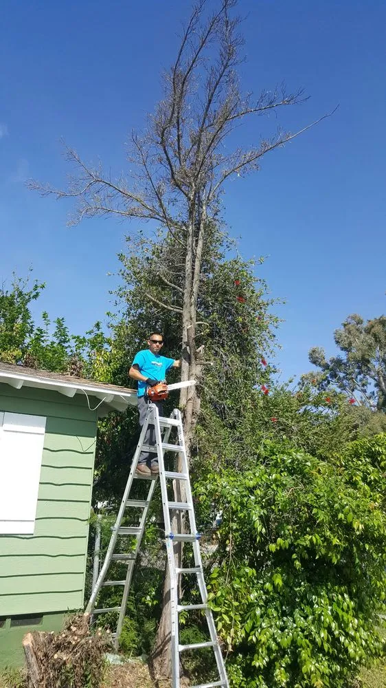 Expert landscape installation in El Cajon, CA - Moy's Landscaping
