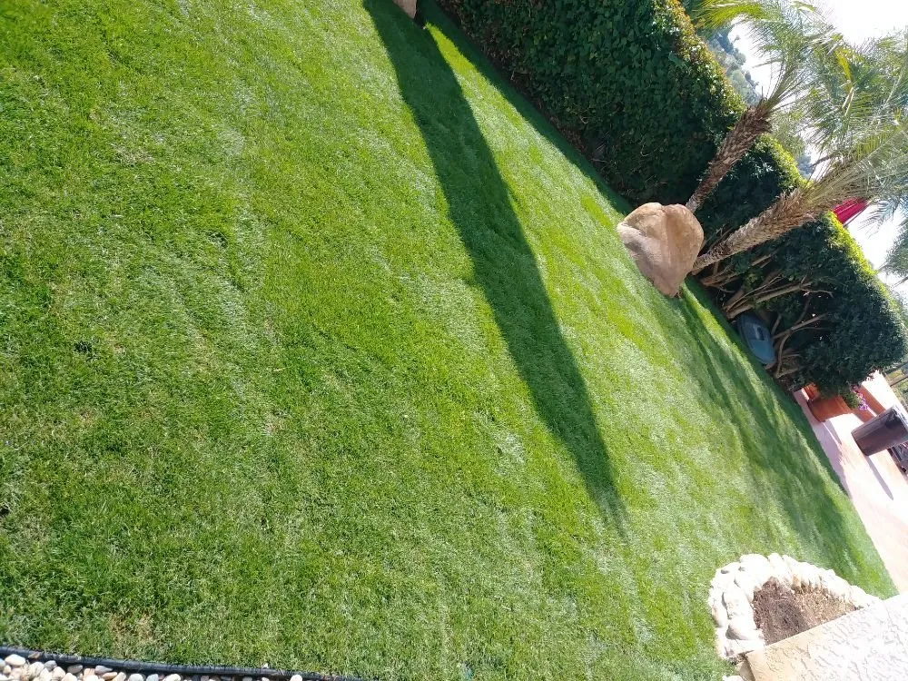 Trusted landscape installation with custom design in El Cajon, CA by Moy's Landscaping