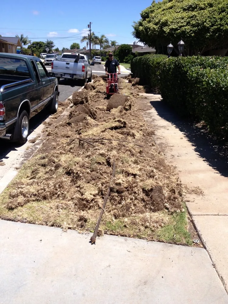 Local landscaping services in El Cajon, CA by Moy's Landscaping