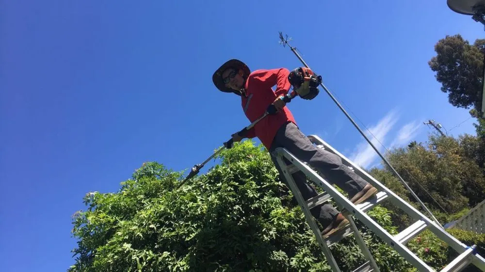 Top-rated garden landscaping experts serving El Cajon, CA - Moy's Landscaping