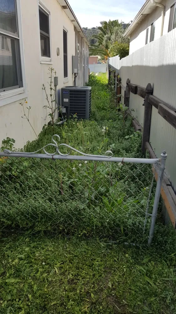 Top-rated garden landscaping experts serving El Cajon, CA - Moy's Landscaping