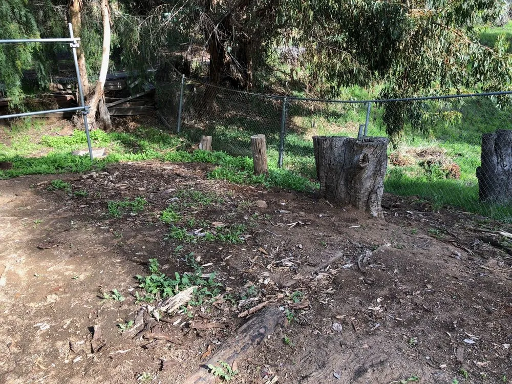 Reliable lawn mowing service for outdoor upgrades in El Cajon, CA by Moy's Landscaping