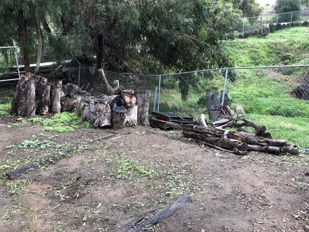 Reliable lawn care service experts serving El Cajon, CA - Moy's Landscaping