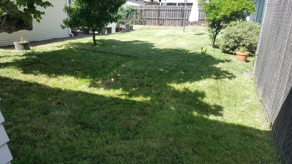 Custom garden landscaping in El Cajon, CA by Moy's Landscaping