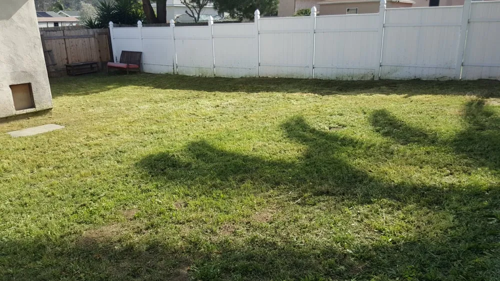 Reliable landscape installation for year-round maintenance in El Cajon, CA by Moy's Landscaping