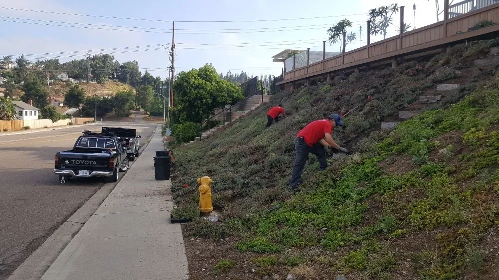 Trusted landscape design experts serving El Cajon, CA - Moy's Landscaping