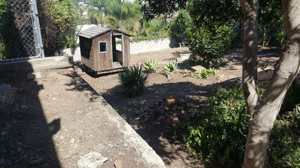 Expert landscape installation in El Cajon, CA - Moy's Landscaping