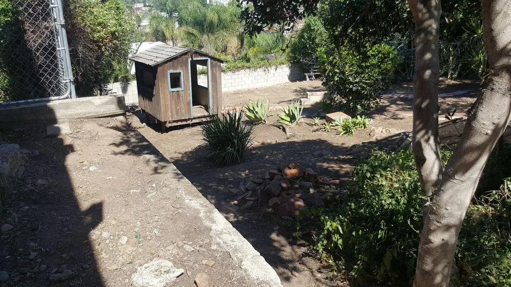 Affordable yard cleanup service in El Cajon, CA - Moy's Landscaping