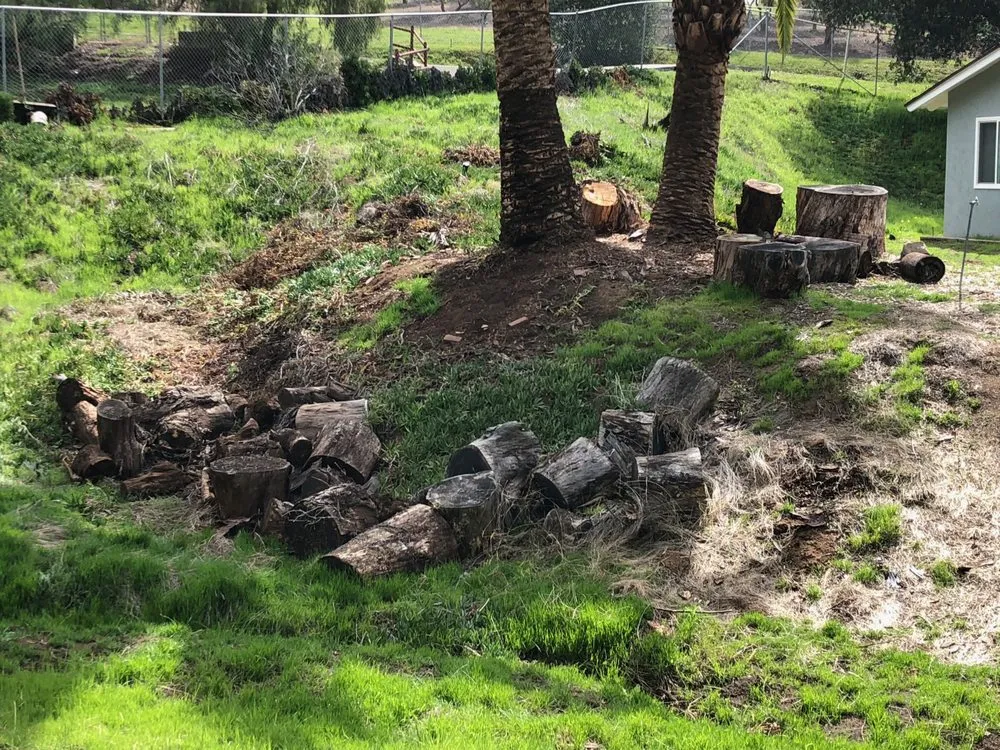 Reliable yard maintenance in El Cajon, CA - Moy's Landscaping