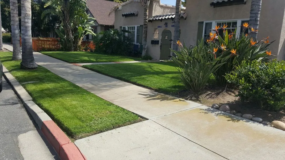 Top-rated residential landscaping in El Cajon, CA by Moy's Landscaping