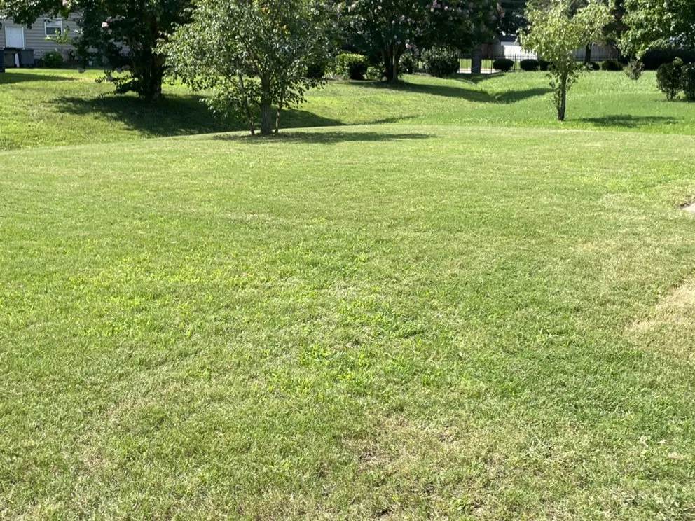 Trusted landscaping services in Hampton, VA - Mozelle Lawn Care