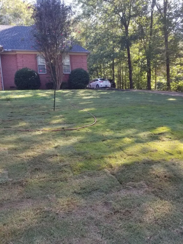 Trusted lawn care service in Bethel Springs, TN by MP Demolition and Landscaping
