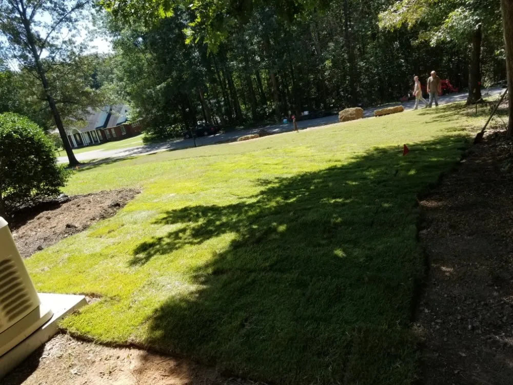 Reliable yard cleanup service experts serving Bethel Springs, TN - MP Demolition and Landscaping